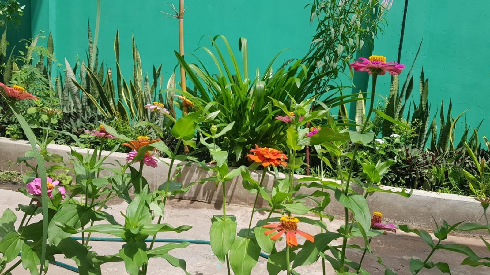 Bloom Garden Bed & Breakfast سيام ريب المظهر الخارجي الصورة