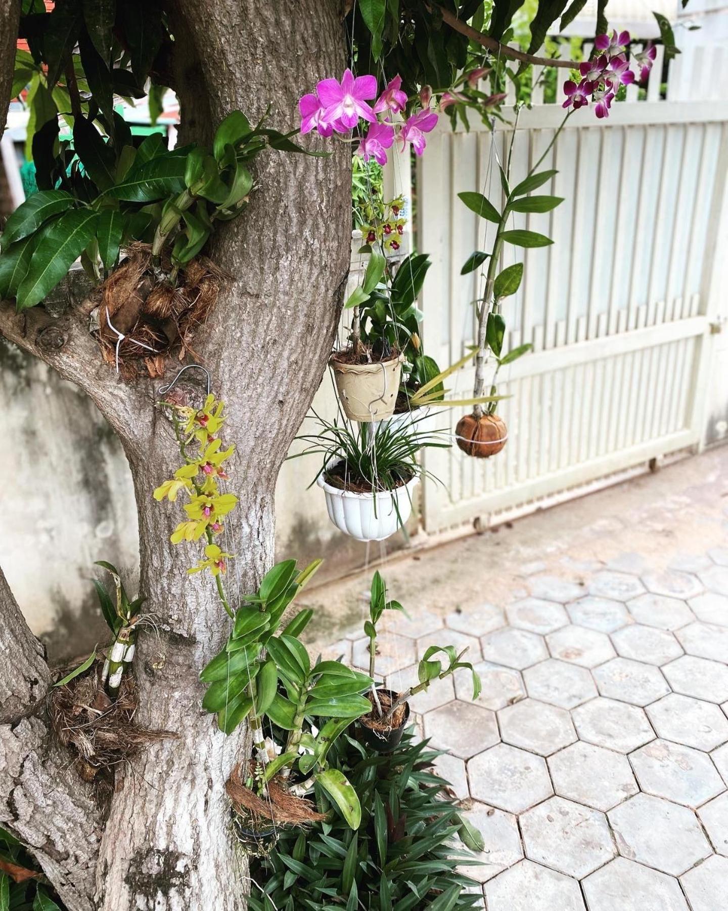 Bloom Garden Bed & Breakfast سيام ريب المظهر الخارجي الصورة